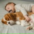 The Sleepy Sounds