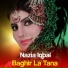 Nazia Iqbal