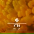 NT89