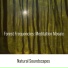 Natural Soundscapes
