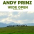 Andy Prinz