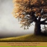NBC Symphony Orchestra, Arturo Toscanini
