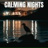 The Sleepy Sounds