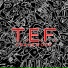 T.E.F.