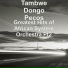 Tambwe Dongo Pecos