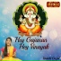 Vaidehi Goyal