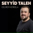 Seyyed Tale