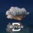 Boyar