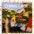 Cerrig Caer