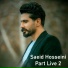 Saeid Hosseini