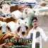 Pardeep Dhaniya