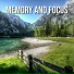 Relaxing Spa Music