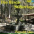 Dúo Illescas y Saldarriaga