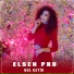 Elsen Pro