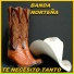 Banda Norteña