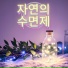 자 세계