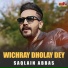 Saqlain Abbas