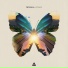 Tritonal feat. Angel Taylor