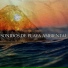 Sonido Natural Y Ambiental