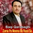 Baqi Qarabaghi