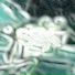yvmxd