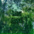 Rainy Sampit