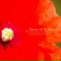 Flower Garden