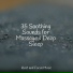 Spa Zen, Childrens Music, Zarobi