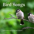 Sleeping Birds Music