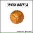 ЗВУКИ ФЛЕКСА