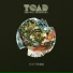 Toad the Wet Sprocket