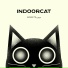 indoorcat