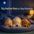 Dog Sleep Lab