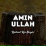 Amin Ullah
