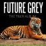 Future Grey