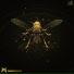 Emperor