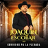 Joaquin Escobar