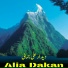 Dadar Ali Jamali