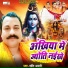 Shashi Anari