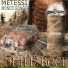 Metessi