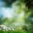 The Relaxing Sounds of Swedish Nature