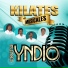 Grupo Yndio
