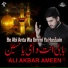 Ali Akbar Ameen