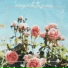 lazyboyloops, Sunset Beats