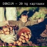 DONIiM