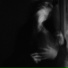 Pauline Seaver, Mary Mortem
