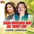 Hamid Jamshaid