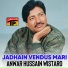 Anwar Hussain Wistaro