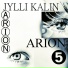 Jylli Kalin