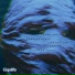 Chasing Space & Riccardo Tucci